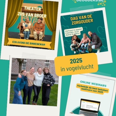 2025 in vogelvlucht: wat De Ouders vzw samen met zorggezinnen in beweging zetten